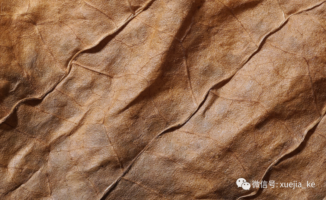 1692698376966741.png 640.png