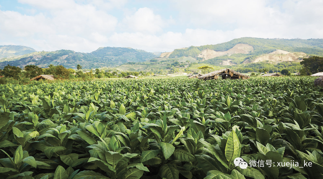 1692698473149353.png 640.png