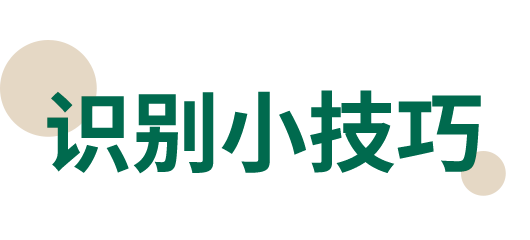 1750407222845279.png 14.png