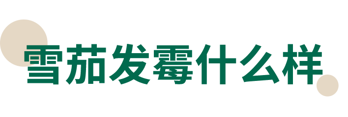 1750407239752752.png 13.png