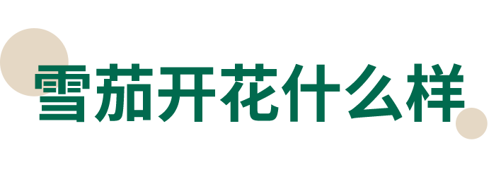 1750407254549751.png 11.png