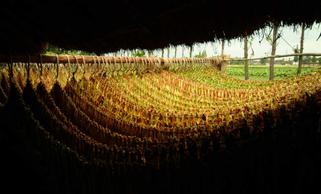 1759221762357152.jpg 23.jpg