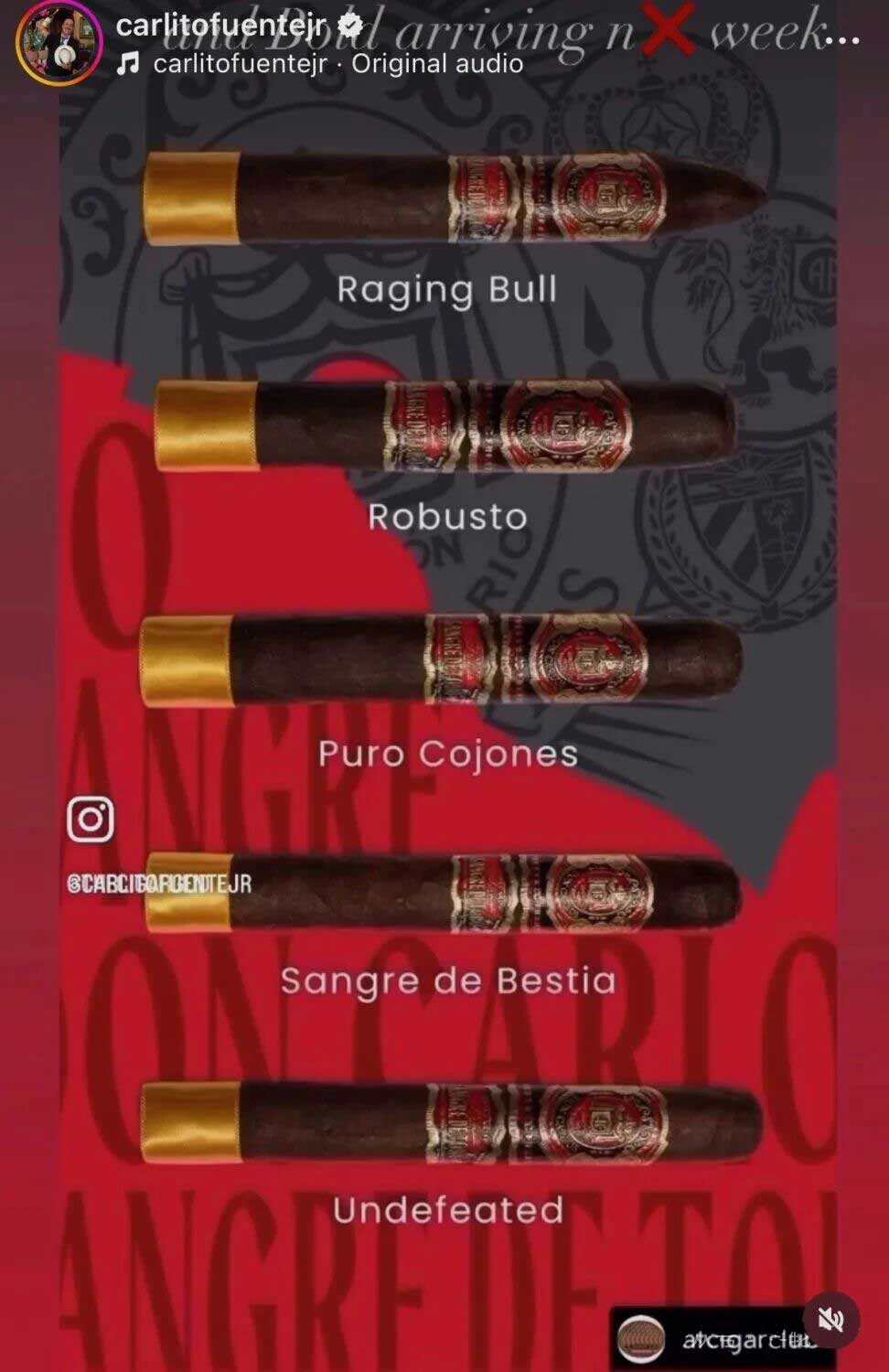 1760082709935795.jpg 13.jpg