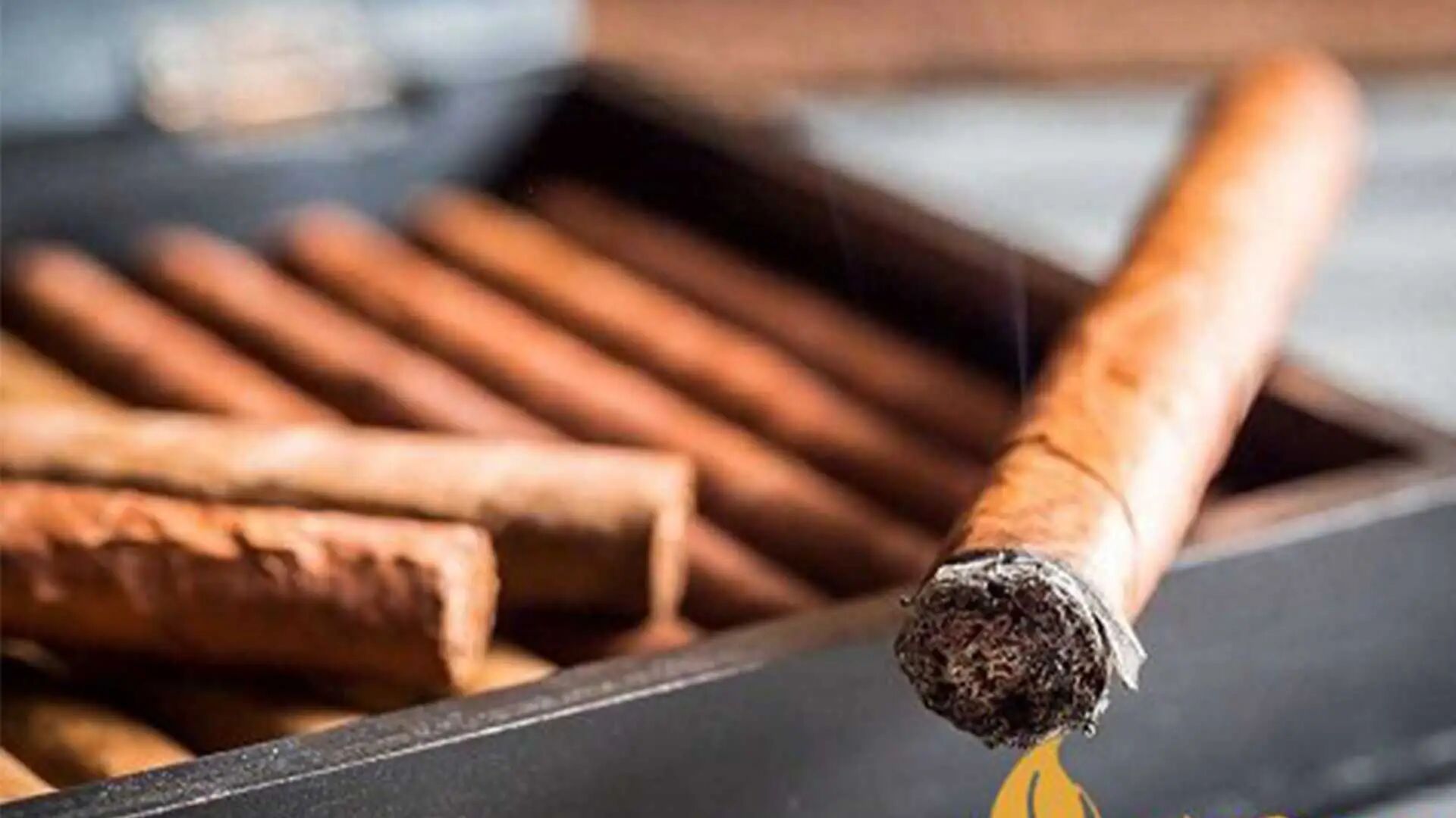 1767513603512406.jpg 41.jpg